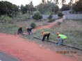 /album/telecomunica%c3%a7%c3%b5es/carlos-1-046-jpg/